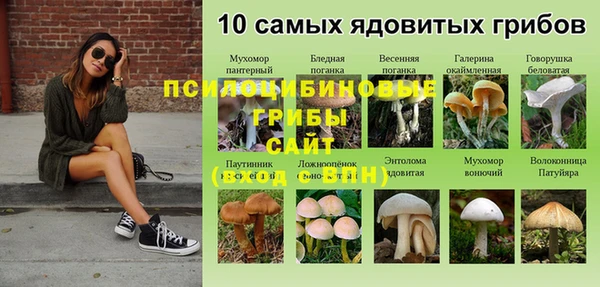мяу мяу кристалл Арсеньев